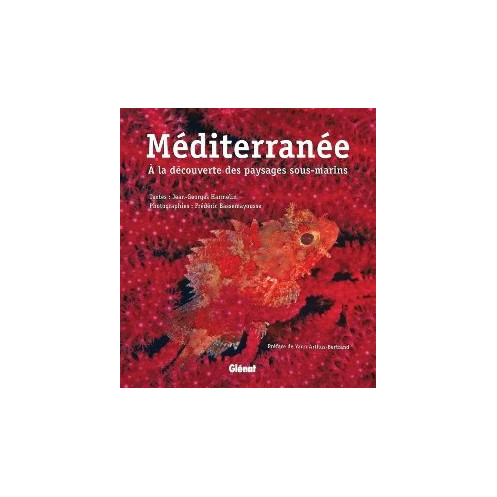 Méditerranée, à la découverte paysages sous-marins