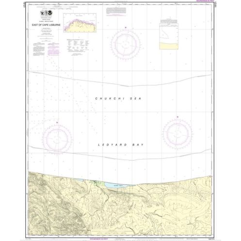 NOAA - 16121 - East of Cape Lisburne