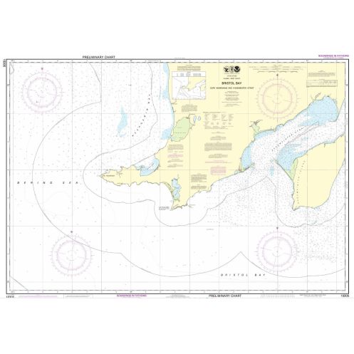 NOAA - 16305 - Bristol Bay-Cape Newenham and Hagemeister Strait