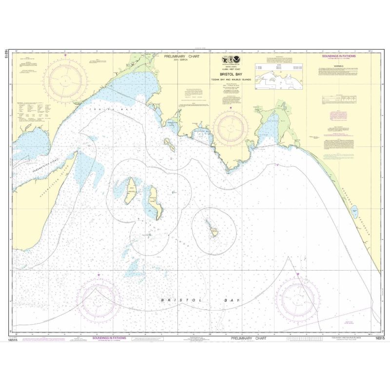 NOAA - 16315 - Bristol Bay-Togiak Bay and Walrus Islands