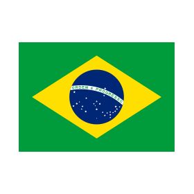 Brazil Flag