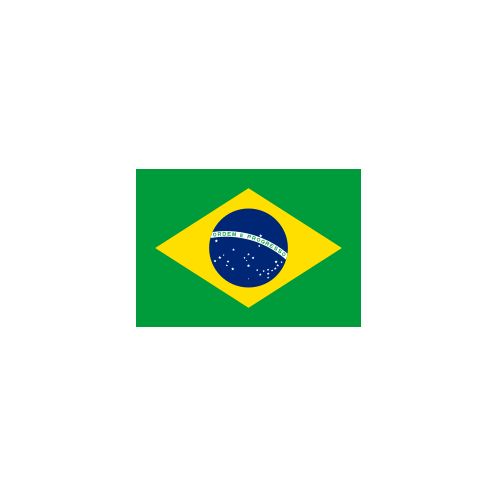 Brazil Flag