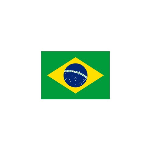 Drapeau Brésil