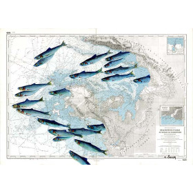 Carte marine peinte - De la pointe de Saint Gildas au goulet de Fromentine - avec poissons