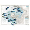Carte marine peinte - De la pointe de Saint Gildas au goulet de Fromentine - avec poissons