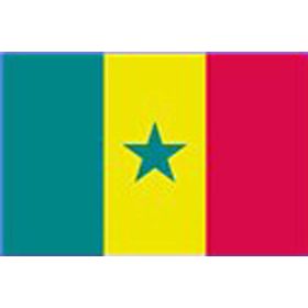 Drapeau Sénégal