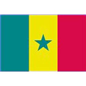 Senegal flag