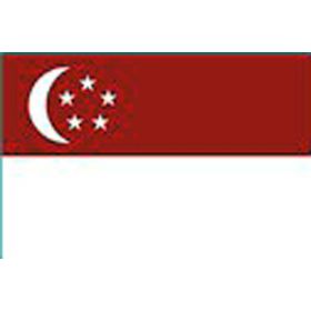 Drapeau Singapour