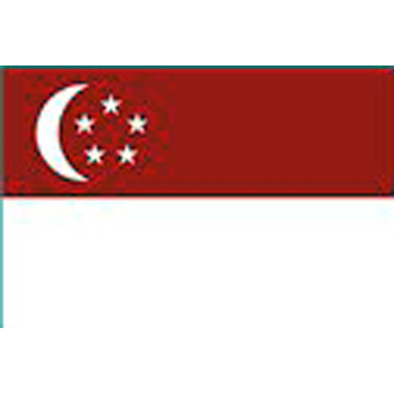Drapeau Singapour