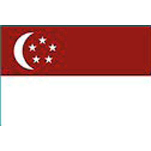 Drapeau Singapour