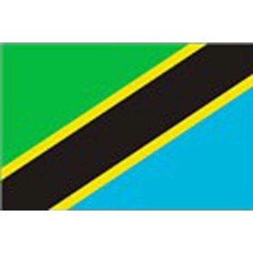 Tanzania flag