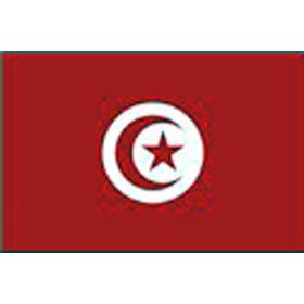 Tunisia flag