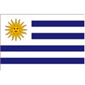 Drapeau Urugay