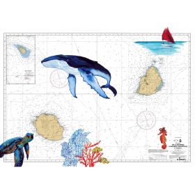 Carte marine peinte - Iles de la Réunion à Maurice - avec baleine