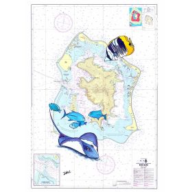 Carte marine peinte - Bora Bora