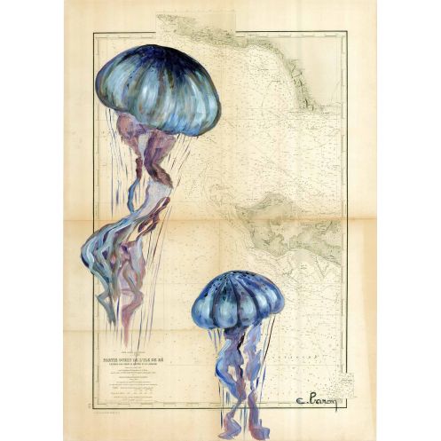 Carte marine peinte sur papier - Méduse à l'île de Ré Carte marine peinte sur papier - Méduse à l'île de Ré