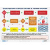 OMI - IMO969E - GMDSS Operating Guidance Card