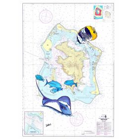 Toile sur chassis bois carte marine peinte - Plongée à Bora Bora