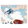 Toile sur chassis bois carte marine peinte - Coquillages et crustacés au Croisic