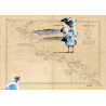 Toile sur chassis bois carte marine peinte - Côte sauvage