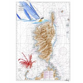 Toile sur chassis bois carte marine peinte - Rascasse en Corse