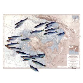 Toile sur chassis bois carte marine peinte - Escadrille de pêche à Pornic
