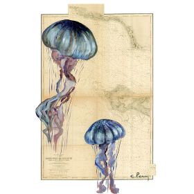 Toile sur chassis bois carte marine peinte - Méduse à l'île de Ré