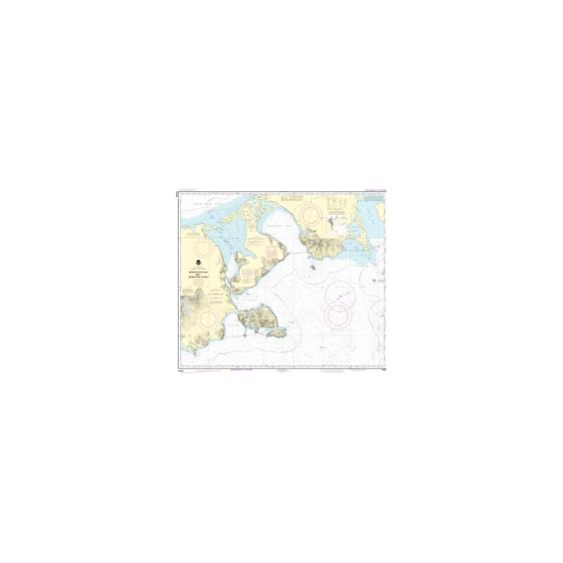 Nautical chart NOAA - 16535 - Morzhovoi Bay and Isanotski Strait