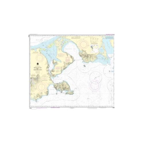 Nautical chart NOAA - 16535 - Morzhovoi Bay and Isanotski Strait