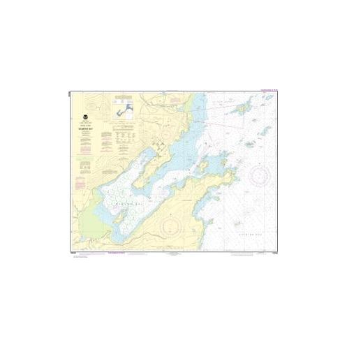 Nautical chart NOAA - 16596 - Womens Bay