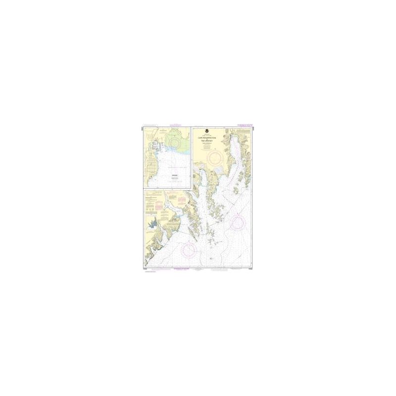 Nautical chart NOAA - 16682 - Cape Resurrection to Two Arm Bay -Seward