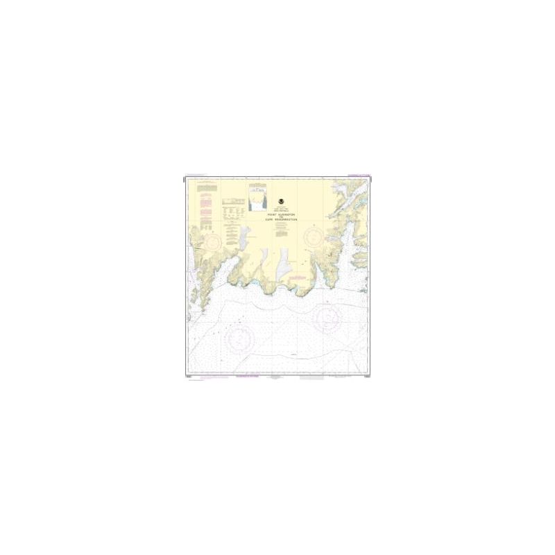 Nautical chart NOAA - 16683 - Point Elrington to Cape Resurrection