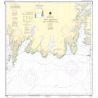 Nautical chart NOAA - 16683 - Point Elrington to Cape Resurrection