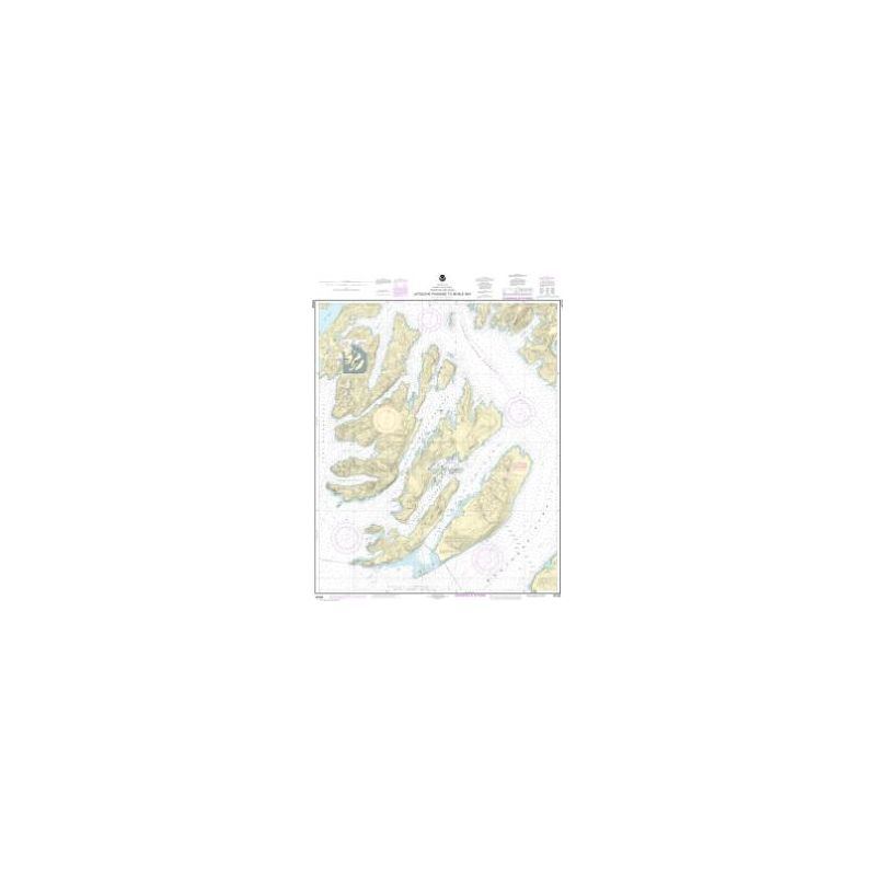 Nautical chart NOAA - 16702 - Latouche Passage to Whale Bay