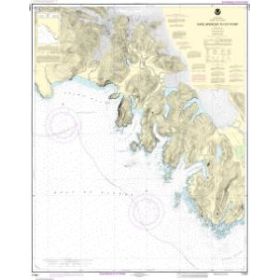 Carte marine NOAA - 17301 - Du cap Spencer à Icy Point