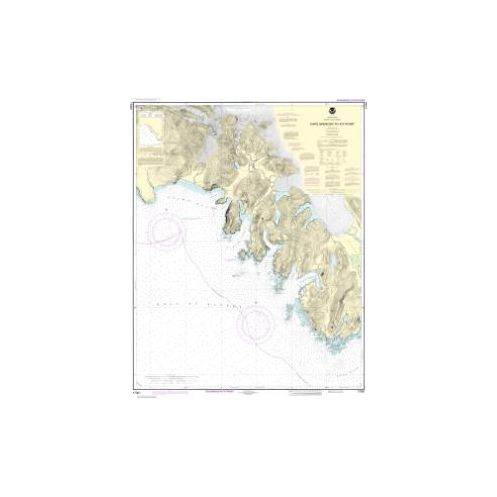 Carte marine NOAA - 17301 - Du cap Spencer à Icy Point