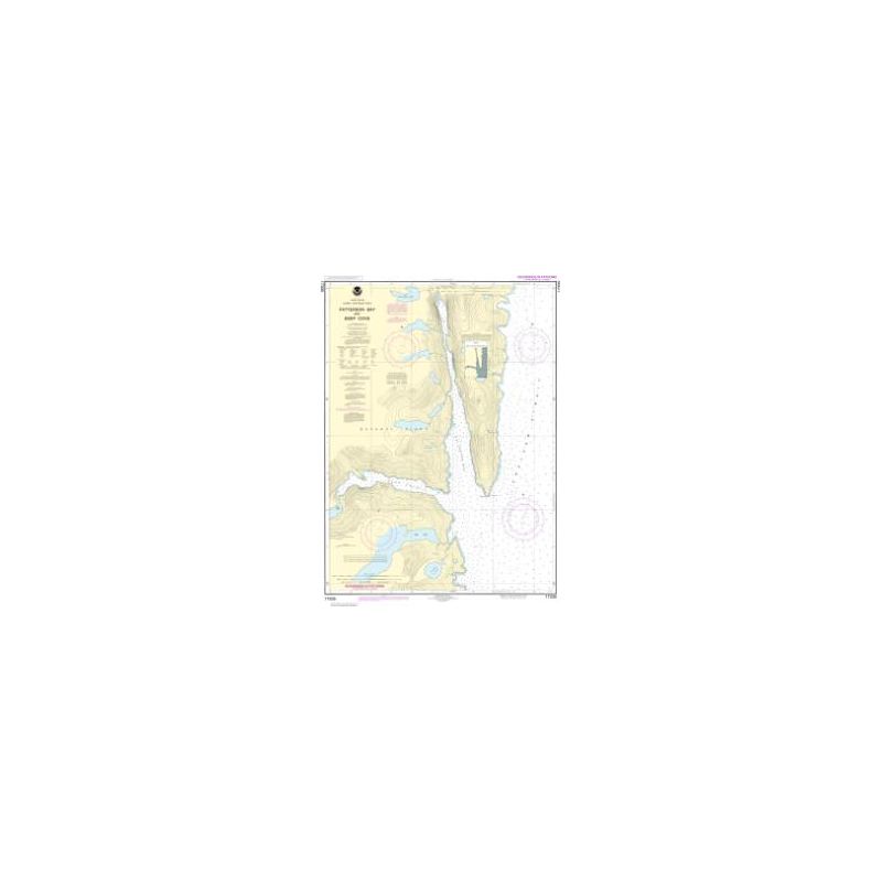 Nautical chart NOAA - 17335 - Baie de Patterson et crique profonde