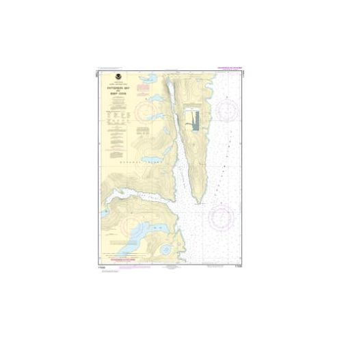Nautical chart NOAA - 17335 - Baie de Patterson et crique profonde