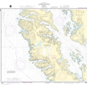 Nautical chart NOAA - 17408 - Central Dall Island and Vicinity