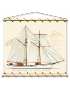 Toile tendue sur coton de l'Etoile / Belle Poule
