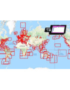 C-Map 4D Local sur carte SD - micro SD - carte neuve