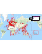 C-Map Max Local sur carte SD - micro SD - carte neuve