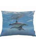 Coussin, paillasson, poloc
