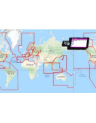 C-Map 4D Continental sur carte SD - micro SD - carte neuve