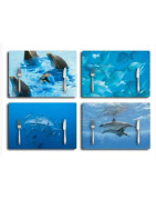 Set de table, serviette, nappe, stop gliss décoration marine