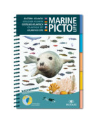 Faune et flore marine