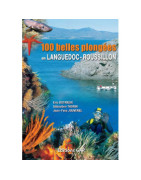 Plongée sous marine