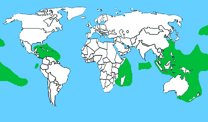 zones à risque de la ciguatera